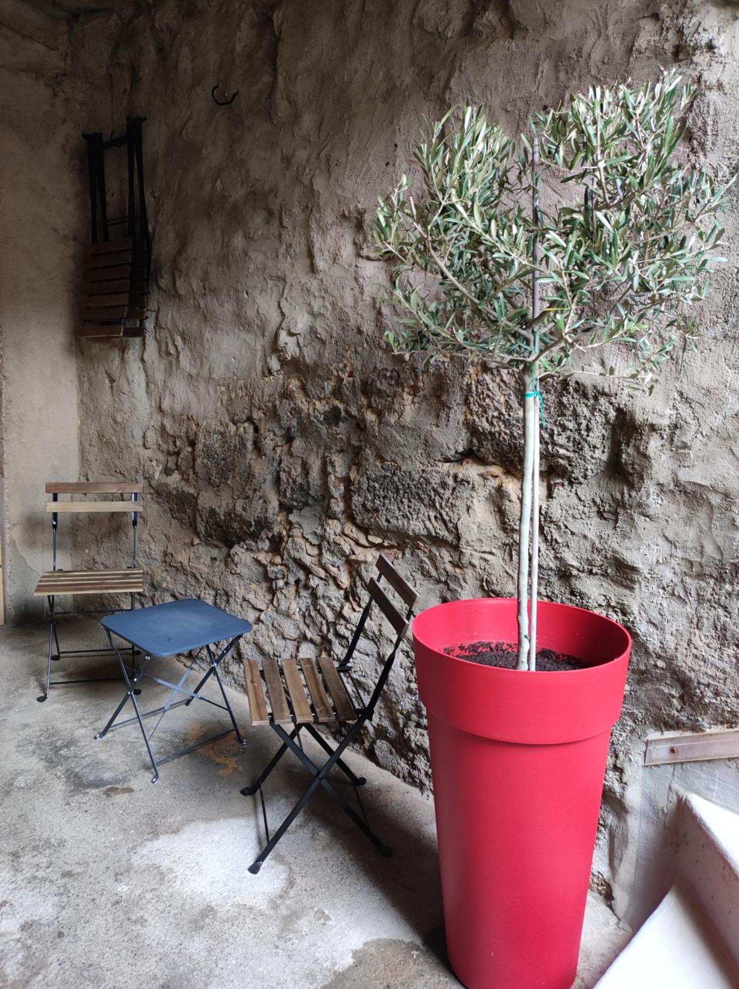 Villa L'Ostra De L'Impasse Portiragnes Exterior foto